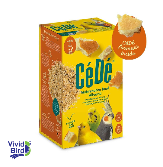 CeDe 17